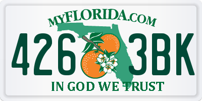 FL license plate 4263BK