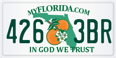 FL license plate 4263BR