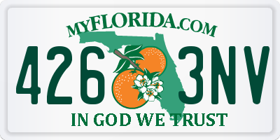 FL license plate 4263NV