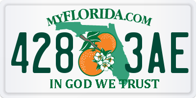 FL license plate 4283AE