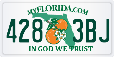 FL license plate 4283BJ