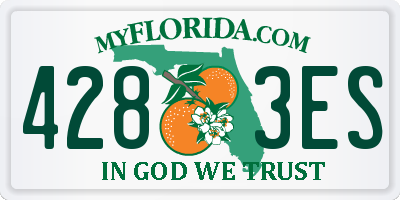 FL license plate 4283ES