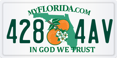 FL license plate 4284AV