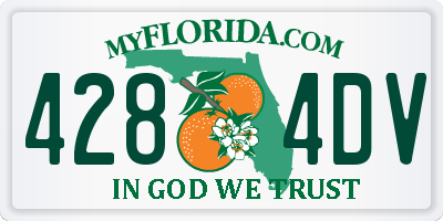 FL license plate 4284DV