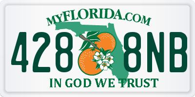FL license plate 4288NB