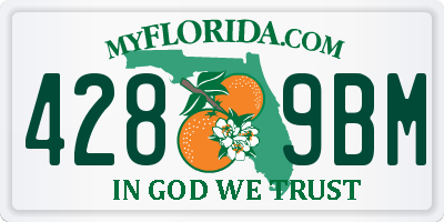 FL license plate 4289BM