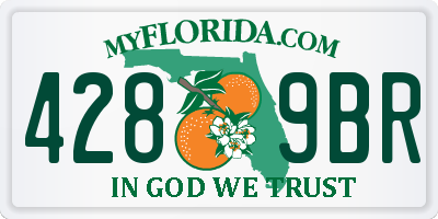 FL license plate 4289BR