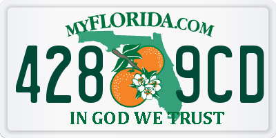 FL license plate 4289CD