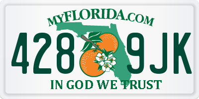 FL license plate 4289JK