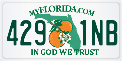 FL license plate 4291NB