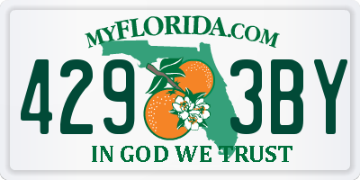 FL license plate 4293BY