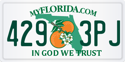 FL license plate 4293PJ