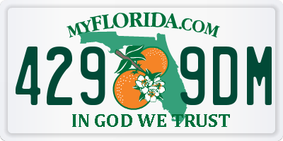 FL license plate 4299DM