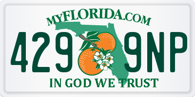 FL license plate 4299NP