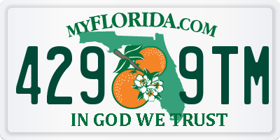 FL license plate 4299TM