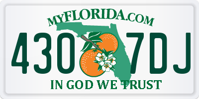 FL license plate 4307DJ