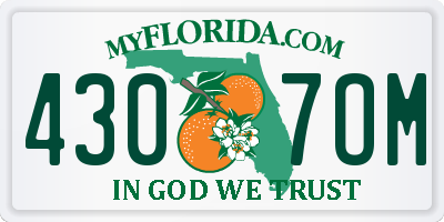 FL license plate 4307OM