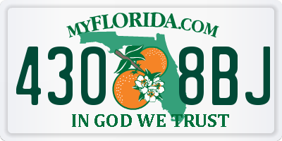 FL license plate 4308BJ