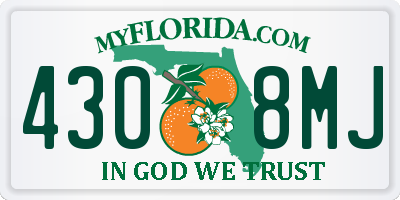 FL license plate 4308MJ