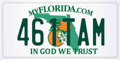 FL license plate 461TAM