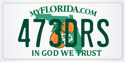 FL license plate 473DRS