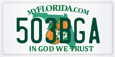 FL license plate 503BGA