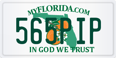 FL license plate 565PIP