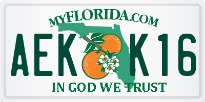 FL license plate AEKK16