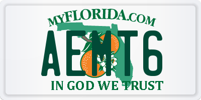 FL license plate AEMT6