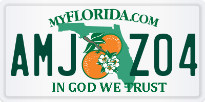 FL license plate AMJZ04