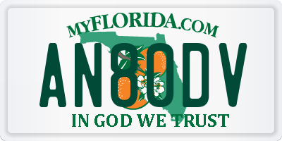 FL license plate AN80DV