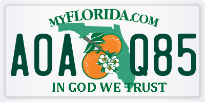 FL license plate AOAQ85