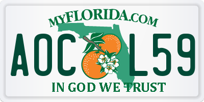 FL license plate AOCL59
