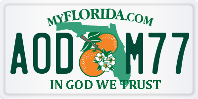 FL license plate AODM77