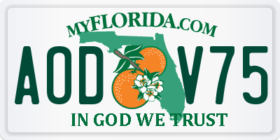 FL license plate AODV75