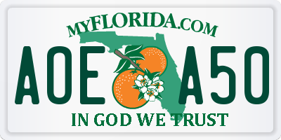FL license plate AOEA50