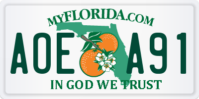 FL license plate AOEA91