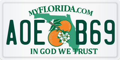 FL license plate AOEB69