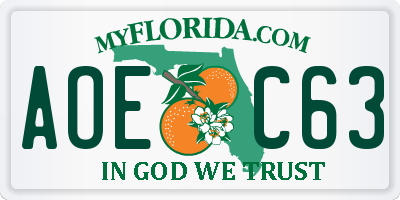 FL license plate AOEC63