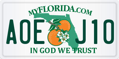 FL license plate AOEJ10