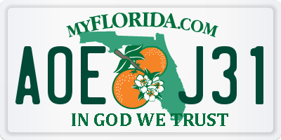 FL license plate AOEJ31