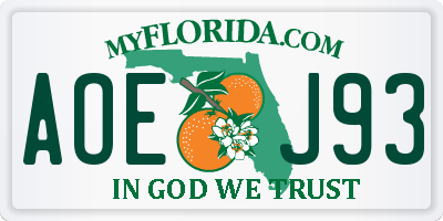 FL license plate AOEJ93