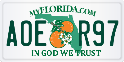 FL license plate AOER97