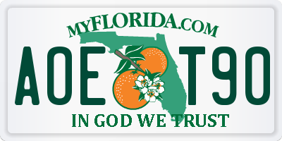 FL license plate AOET90