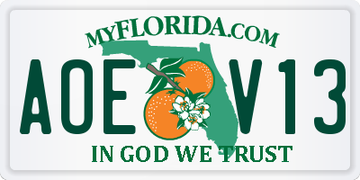 FL license plate AOEV13