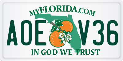 FL license plate AOEV36