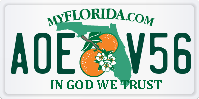 FL license plate AOEV56