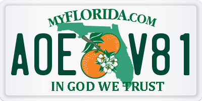 FL license plate AOEV81