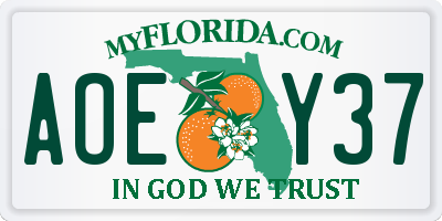 FL license plate AOEY37