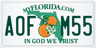 FL license plate AOFM55